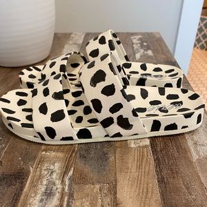 Aerie slides